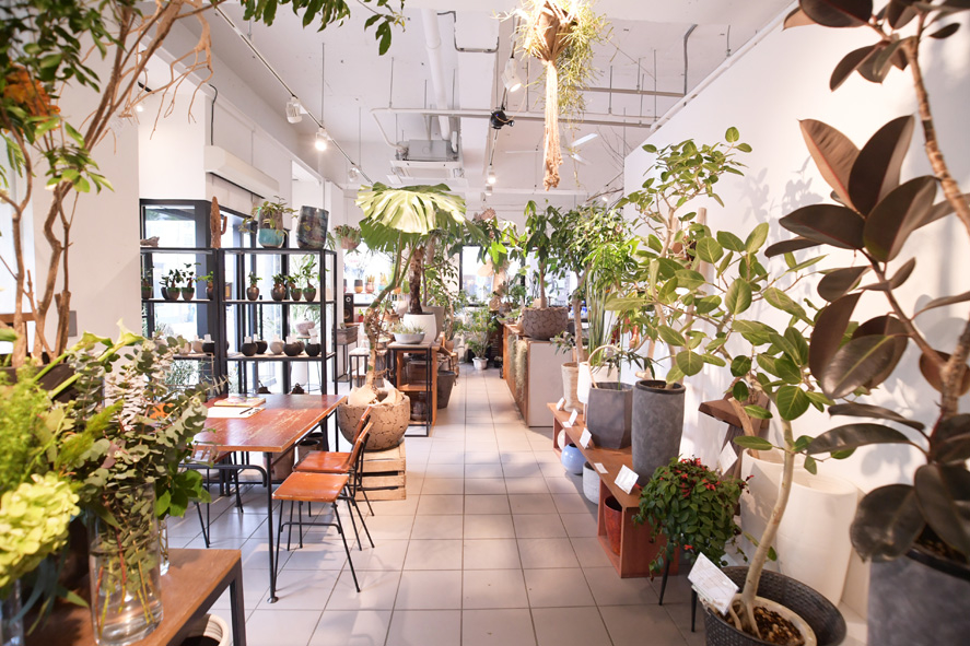 Flower & Smile shop tooka